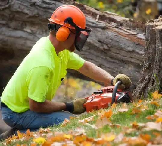 tree services Anaconda